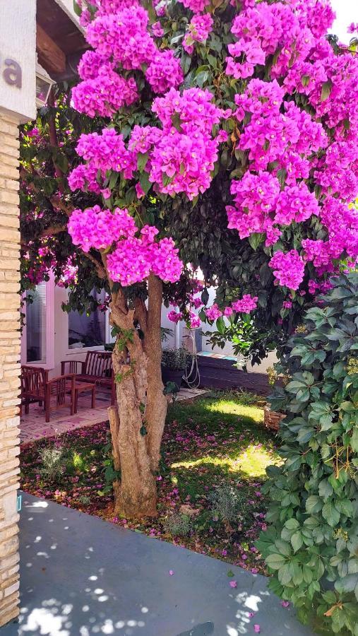 Holiday Home Zora - Family Vacation House Near Protected Area Of The Nature Park Kamenjak, With Green Yard, Wifi, Air-Con Premantura Ngoại thất bức ảnh